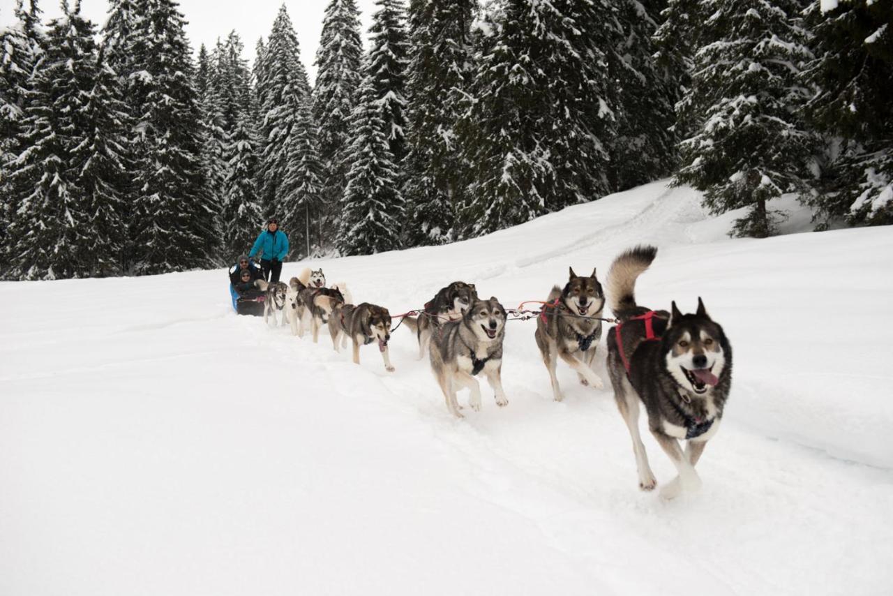 Chambre Privee Au Pied Des Pistes - Chambre Chez L'Habitant - Chaletnelda Com ラムラ エクステリア 写真
